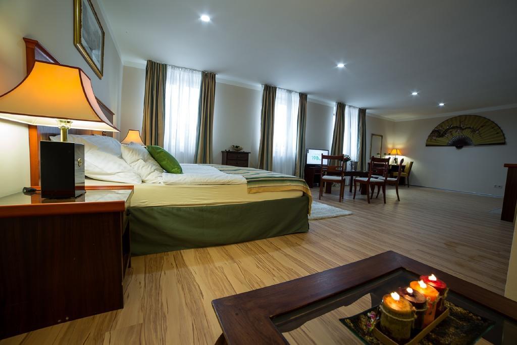 Apartmany Amethyst カルロヴィ・ヴァリ 部屋 写真